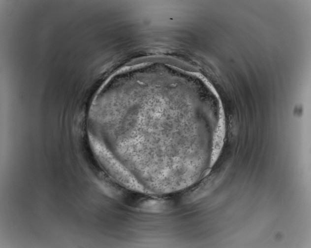 X0000100950364200807221127