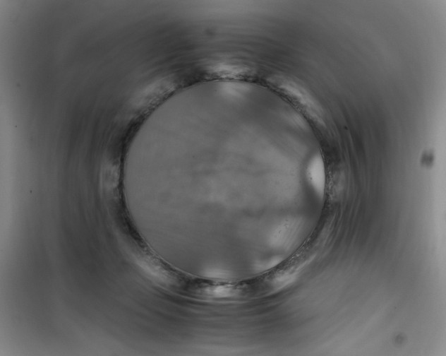 X0000100950365200807221127