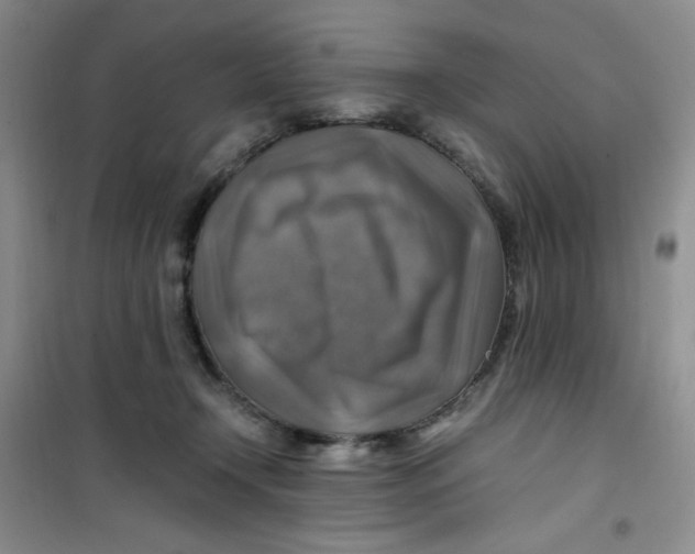 X0000100950366200807221127