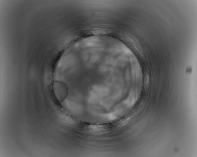 X0000100950367200807221127