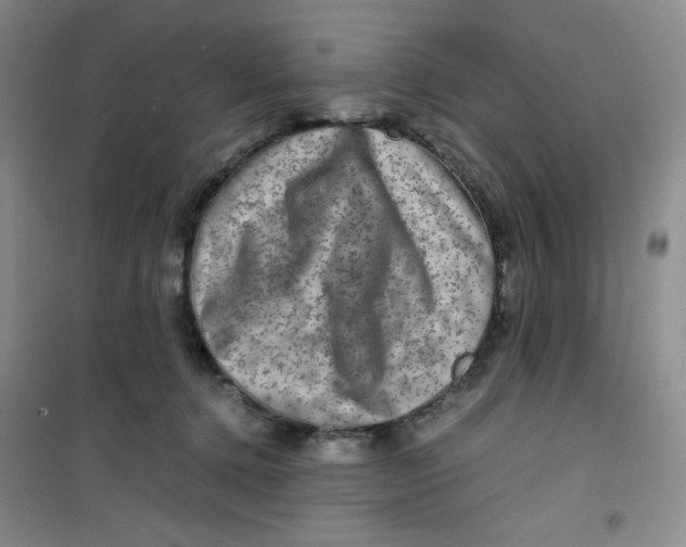 X0000100950368200807221127