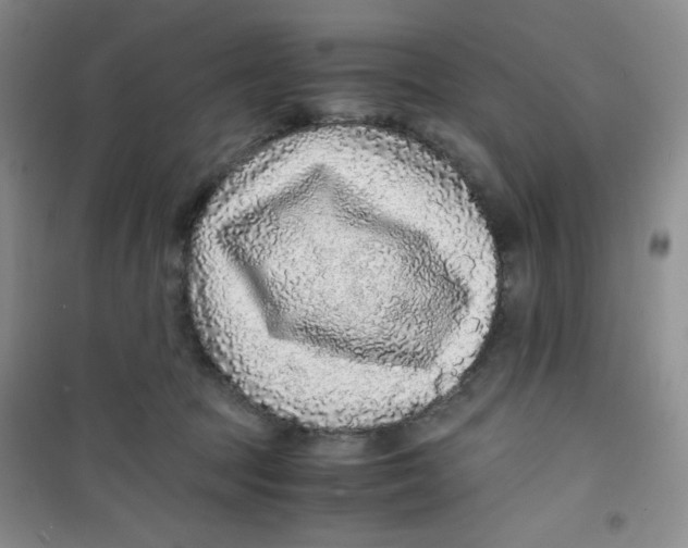 X0000100950369200807221127