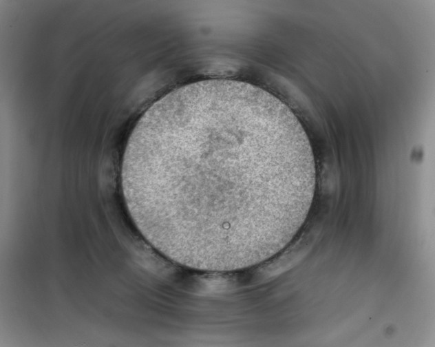 X0000100950370200807221127