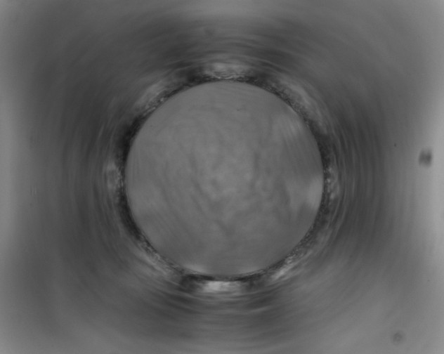 X0000100950371200807221127