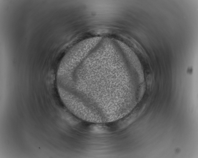 X0000100950372200807221127