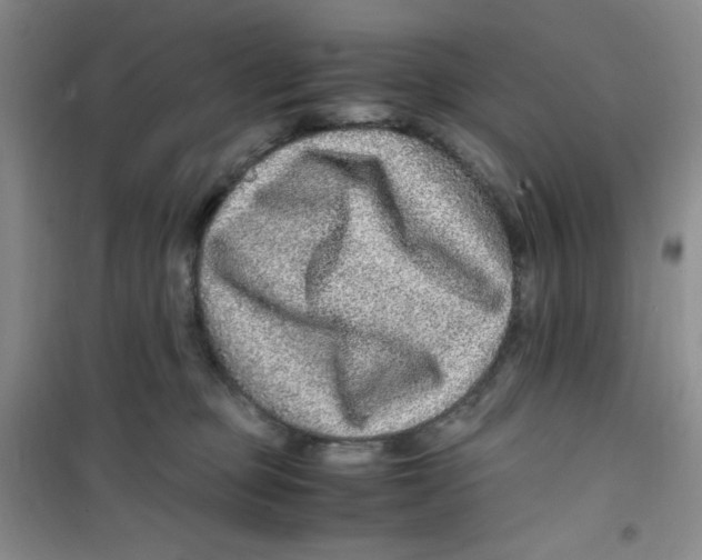 X0000100950373200807221127