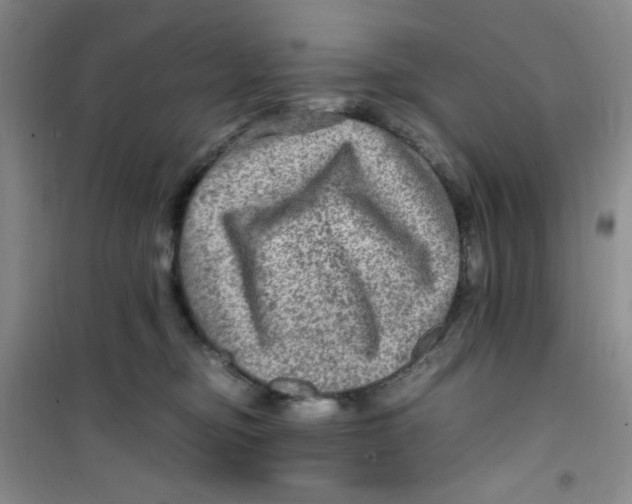 X0000100950374200807221127