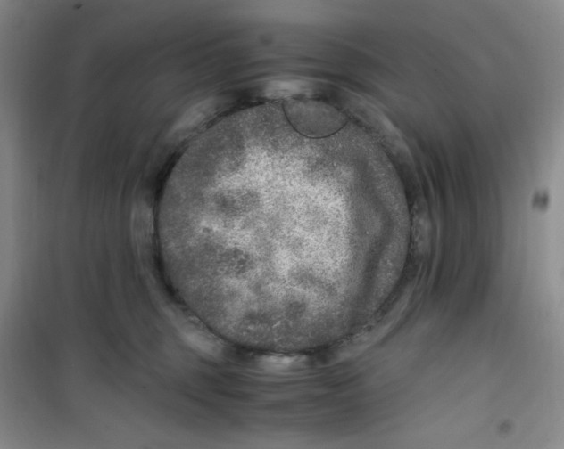 X0000100950375200807221127