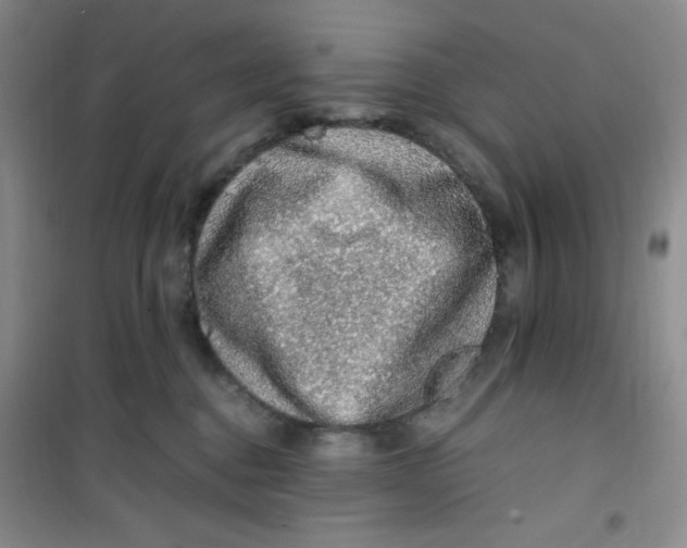 X0000100950376200807221127