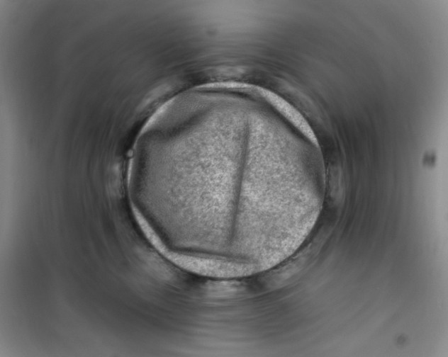 X0000100950378200807221127