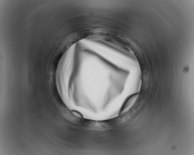 X0000100950379200807221127