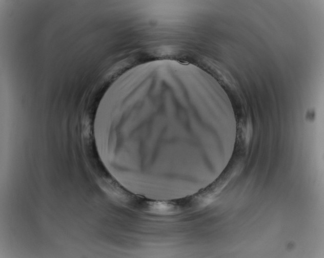 X0000100950380200807221127