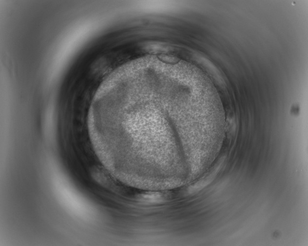 X0000100950381200807221127