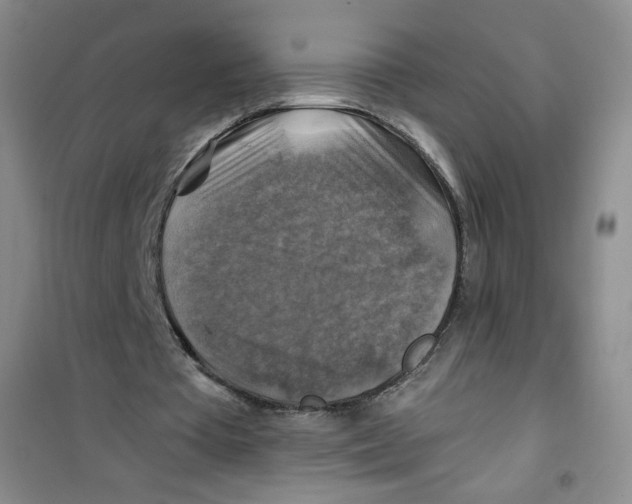 X0000100950385200807221126