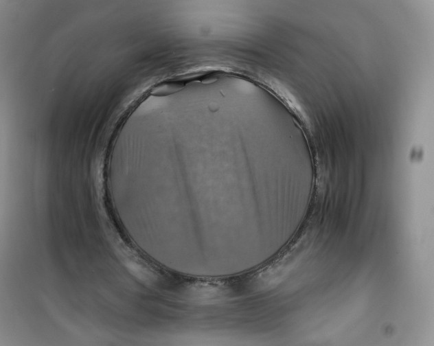 X0000100950386200807221126