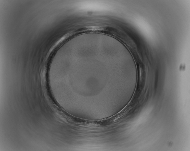 X0000100950387200807221126