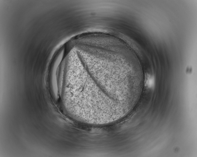 X0000100950388200807221126