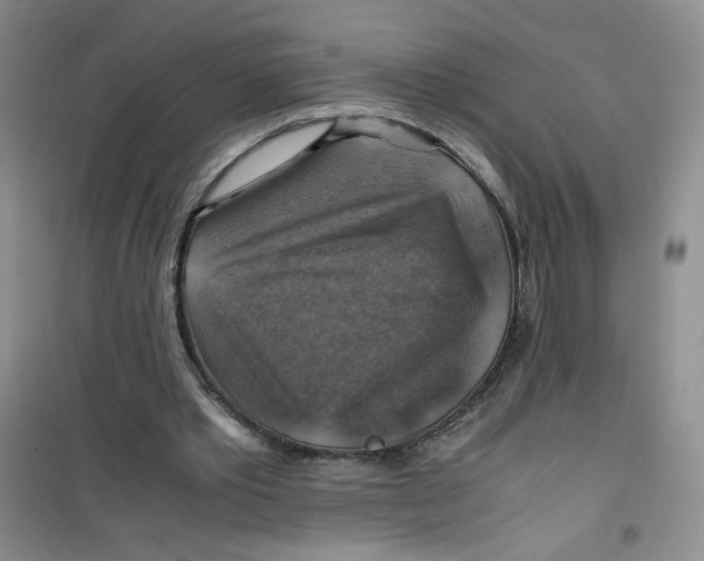 X0000100950389200807221126