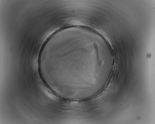 X0000100950390200807221126