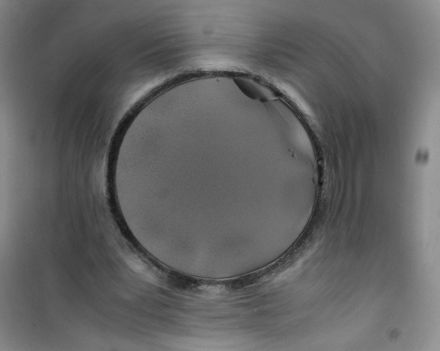 X0000100950391200807221126