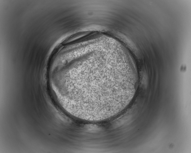 X0000100950392200807221126