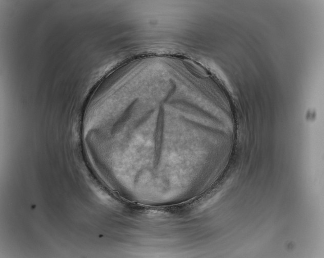 X0000100950393200807221126