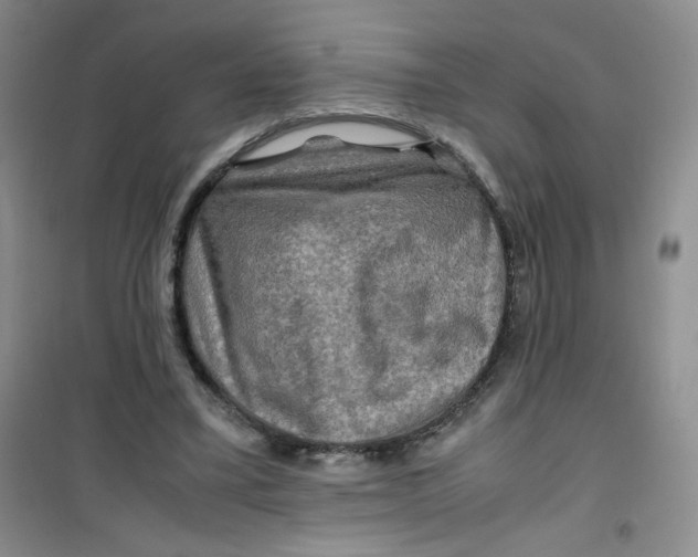 X0000100950395200807221126