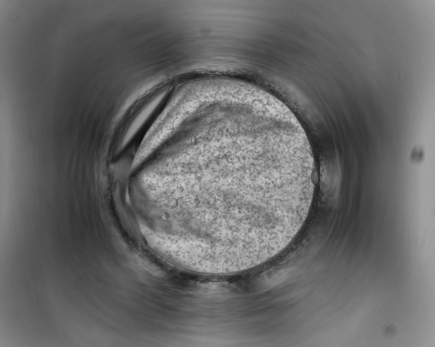 X0000100950396200807221126