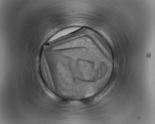 X0000100950397200807221126