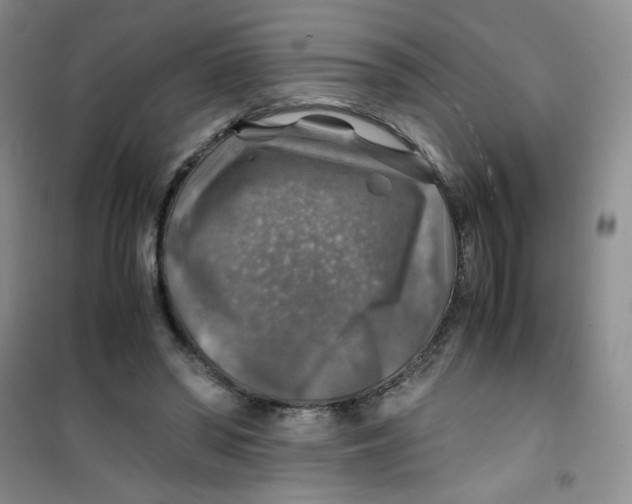 X0000100950398200807221126