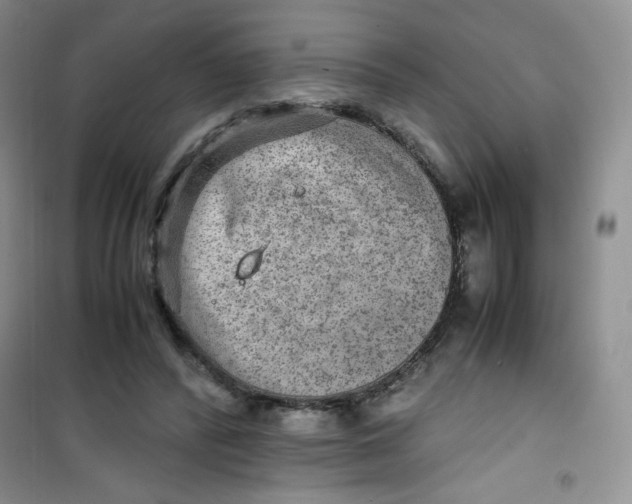 X0000100950400200807221126