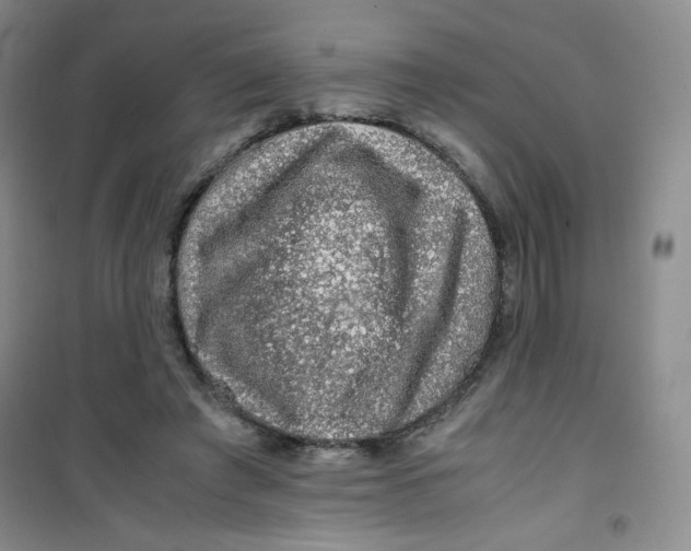 X0000100950401200807221126