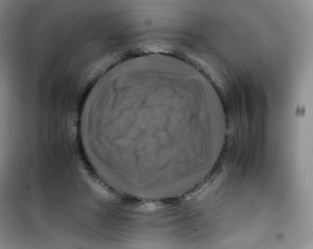 X0000100950402200807221126