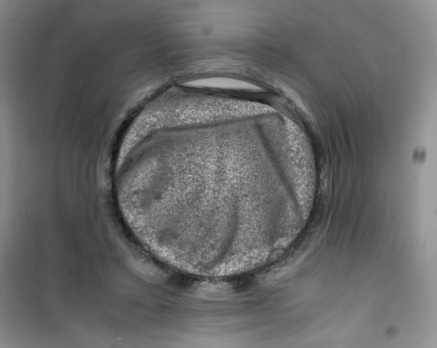 X0000100950403200807221126