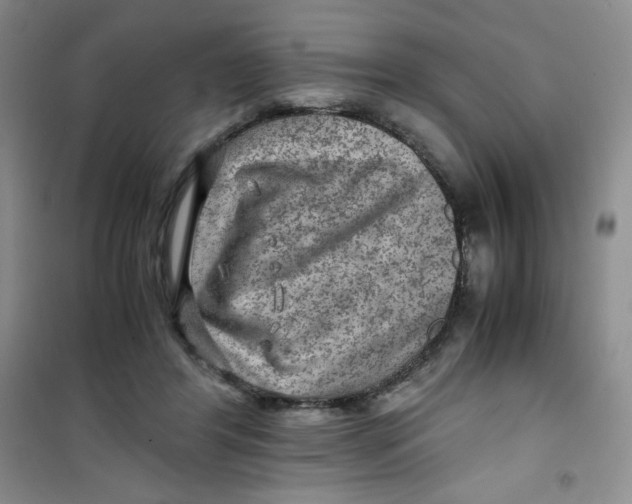 X0000100950404200807221126