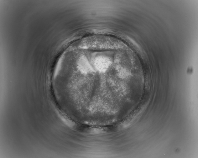 X0000100950405200807221126