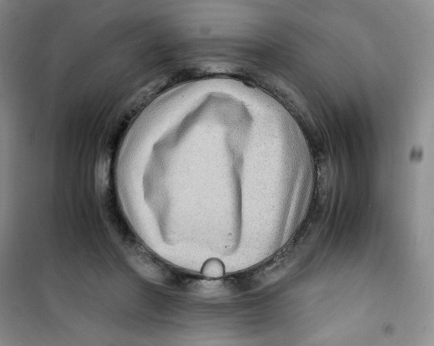 X0000100950406200807221126