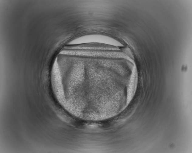 X0000100950407200807221126