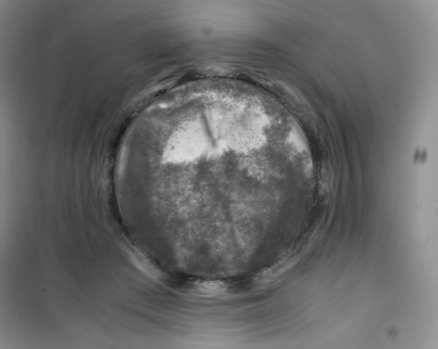 X0000100950409200807221126