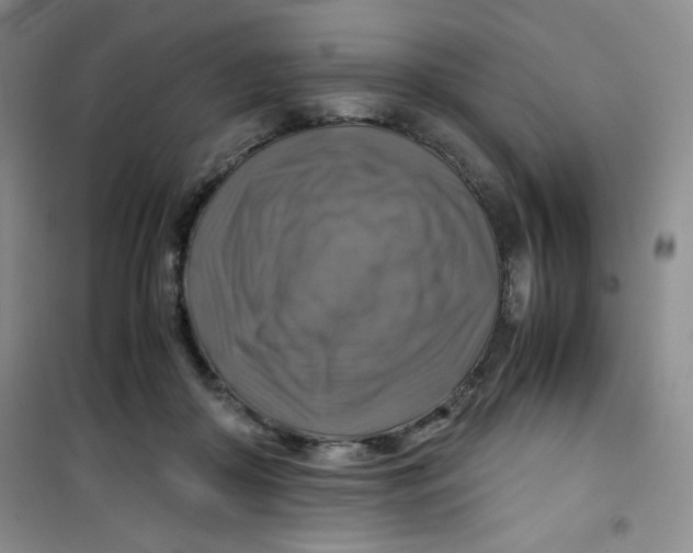 X0000100950410200807221126