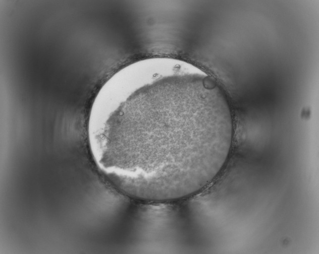 X0000100950411200807221126