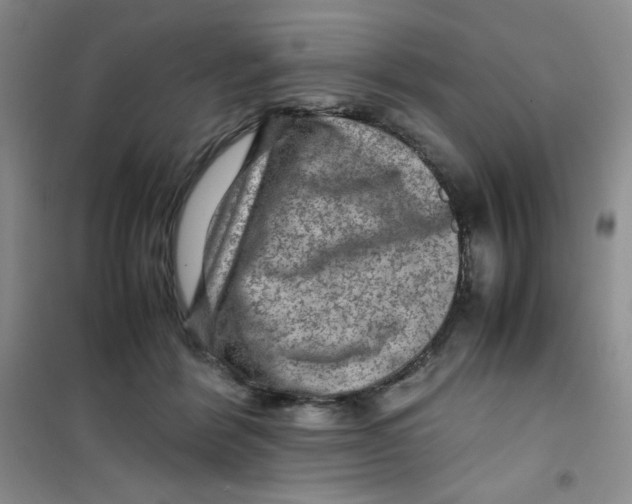 X0000100950412200807221126