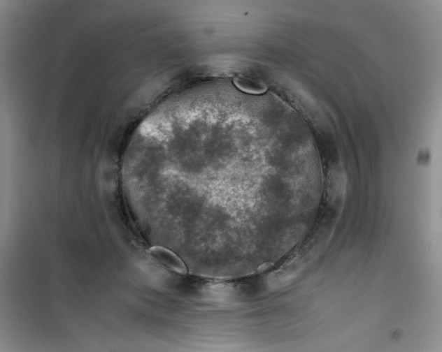 X0000100950413200807221126