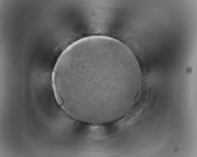 X0000100950415200807221126