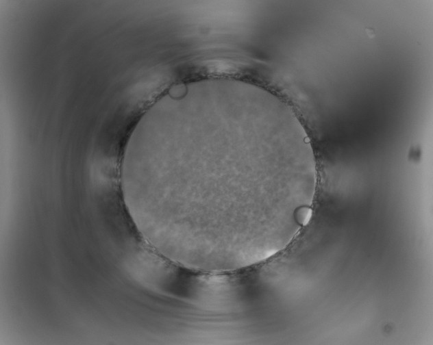 X0000100950419200807221126