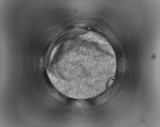 X0000100950420200807221126