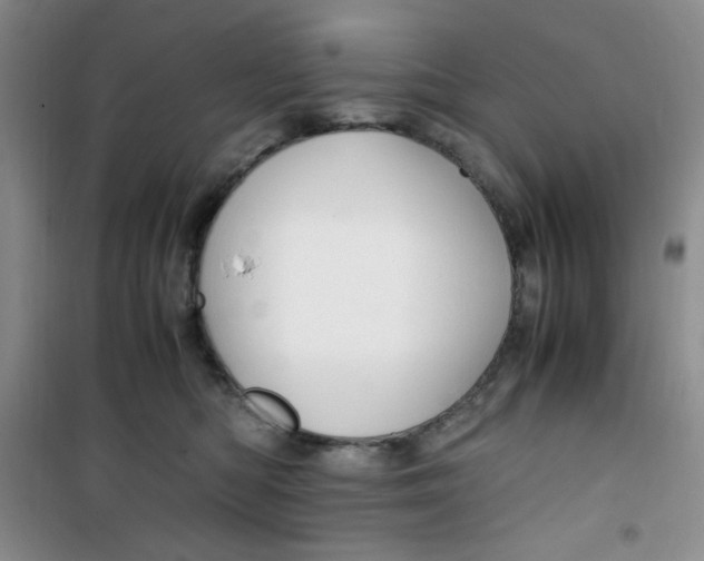 X0000100950422200807221126