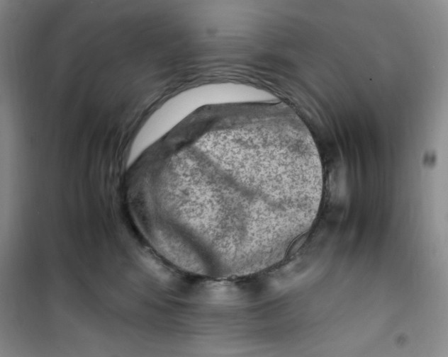 X0000100950424200807221126