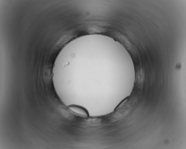 X0000100950426200807221126