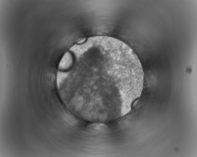 X0000100950427200807221126